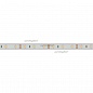 Лента RTW 2-5000P 12V White6000 (3528, 300 LED, LUX) (Arlight, 4.8 Вт/м, IP66)