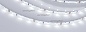Лента RT 2-5000 12V White6000 5mm (3528, 300 LED, LUX) (Arlight, 4.8 Вт/м, IP20)