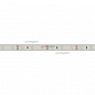 Лента RTW 2-5000PGS 12V White (3528, 300 LED, LUX) (Arlight, 4.8 Вт/м, IP66)