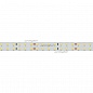 Лента RT 2-5000 24V White6000 2x2 (2835, 980 LED, LUX) (Arlight, 20 Вт/м, IP20)