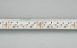 Лента RT-5000-3838-2216-288-24V RGBW-MIX (12mm, 19.2W, IP20) (Arlight, 19.2 Вт/м, IP20)