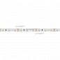 Лента RT 2-5000 12V White6000 (3528, 300 LED, LUX) (Arlight, 4.8 Вт/м, IP20)